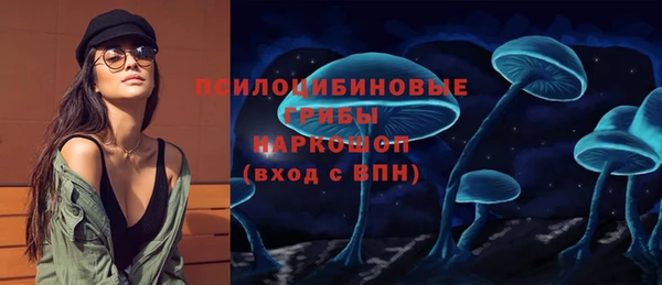 бошки Алексеевка