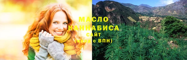 крисы Ельня