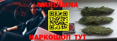 СК Кингисепп