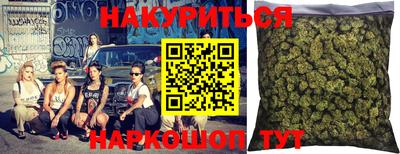 СК Кингисепп