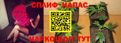 каннабис Кимры