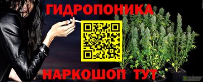 каннабис Кимры