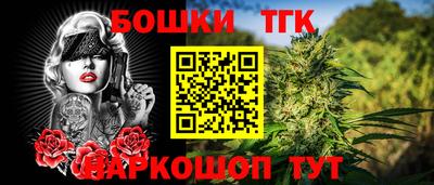 СК Кингисепп