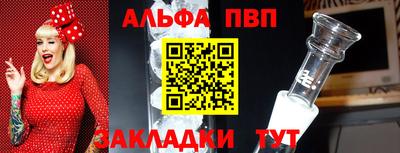 СК Кингисепп