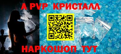 СК Кингисепп