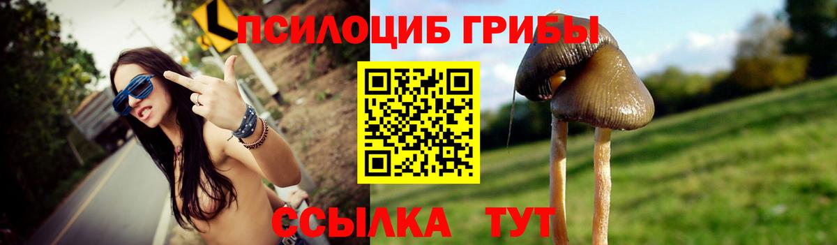 Псилоцибиновые грибы мицелий  Галлюциногенные грибы Psilocybine cubensis  Вход с VPN  Красноуфимск 